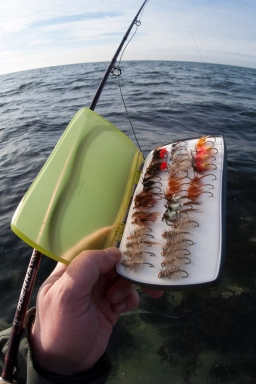 Contamination Contamination