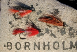 A colorful trio A colorful trio