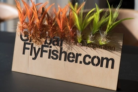 Flies and sign Flies and sign