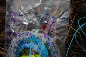 Lines in bags Lines in bags