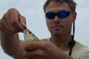 Red eye, blue eye Red eye, blue eye