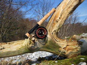 Gear display Gear display