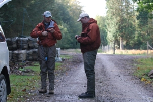 Brothers in arms Brothers in arms