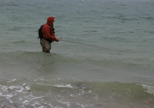 Murky but productive Murky but productive