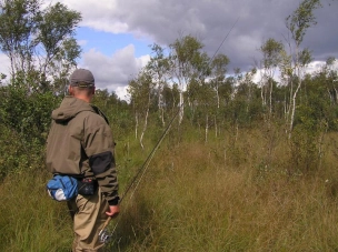 Through wild bogs to the river Through wild bogs to the river