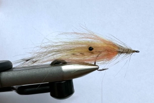 The Storm Shrimp The Storm Shrimp