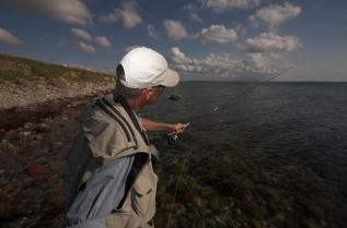 Effortless Effortless