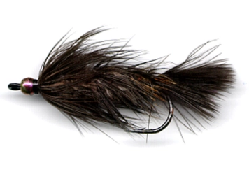 Black Frede Black Frede