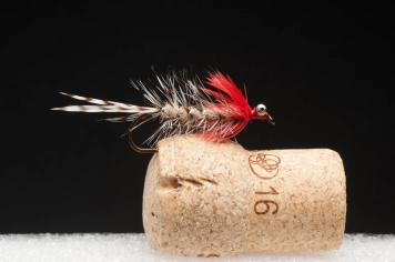 Blood Nosed Magnus Blood Nosed Magnus