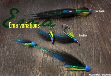 Various Ernas Various Ernas