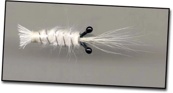 Tube shrimp, dorsal Tube shrimp, dorsal