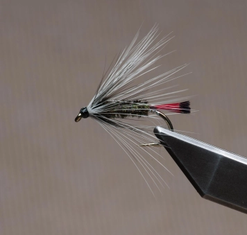 Hutch's Pennell for sea run trout Hutch's Pennell for sea run trout