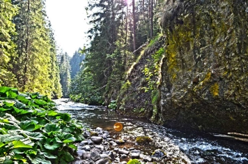 It's a pity I'm not an artist It's a pity I'm not an artist