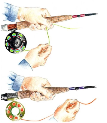 The stray hand The stray hand