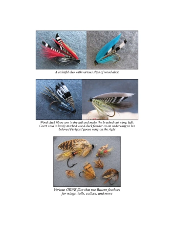 Colorful flies Colorful flies