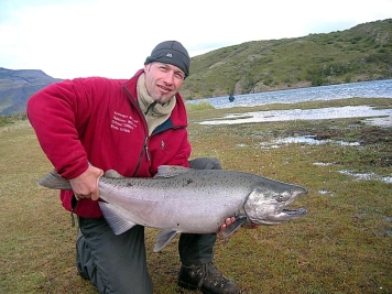 Oncorhynchus tshawytcha Oncorhynchus tshawytcha