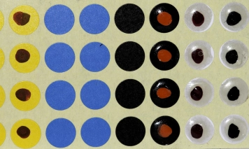 Home made eyes Home made eyes