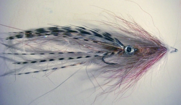 Squid Vicious Squid Vicious