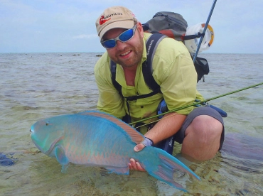 Parrot fish Parrot fish