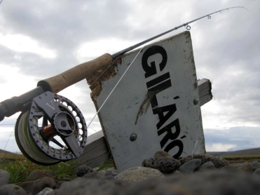 Ready for some action Ready for some action