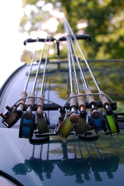 Lots of rods Lots of rods