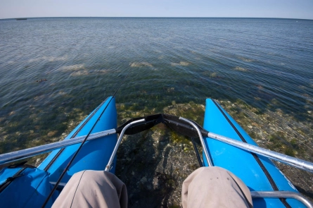 It looks enticing It looks enticing