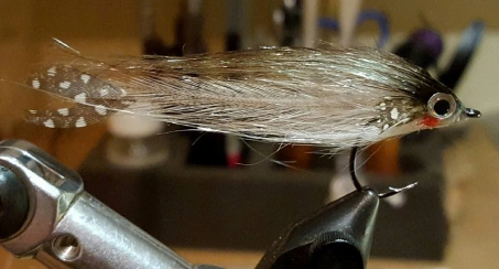 Single feather fly Single feather fly