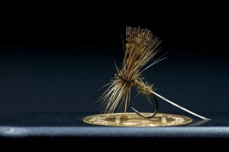 Fast water March Brown Fast water March Brown