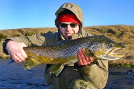 Hefty brown trout Hefty brown trout