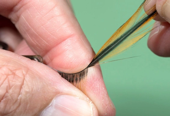 Pull lightly down to fold Pull lightly down to fold