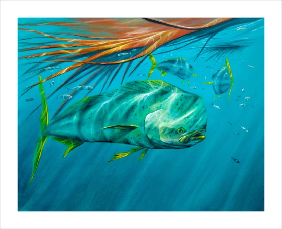 Bulls on parade Bulls on parade