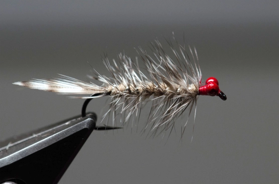 Magnus by Martin Magnus by Martin