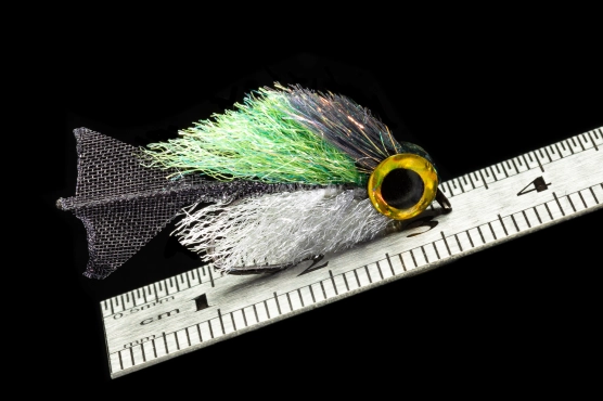 Tiny baitfish Tiny baitfish