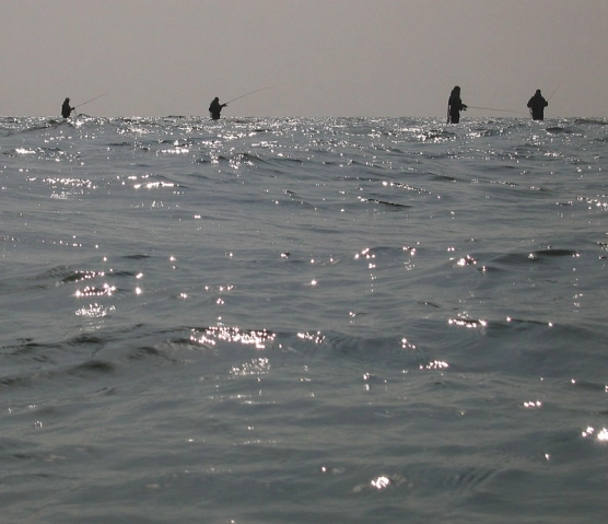 Grey matter Grey matter