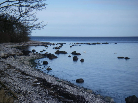 Sculpin water Sculpin water