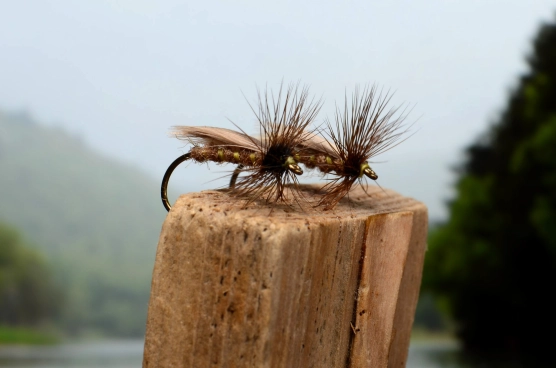 Ready to roll Ready to roll