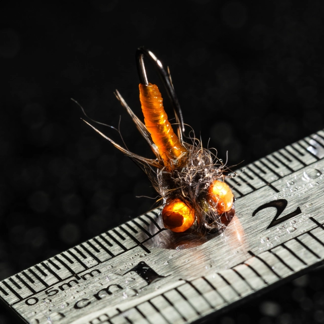 A bright fly A bright fly