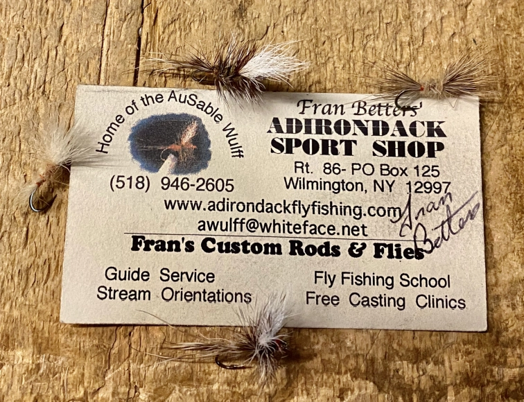 Betters' flies Betters' flies