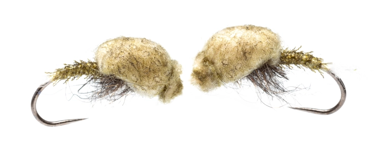 A set of two A set of two