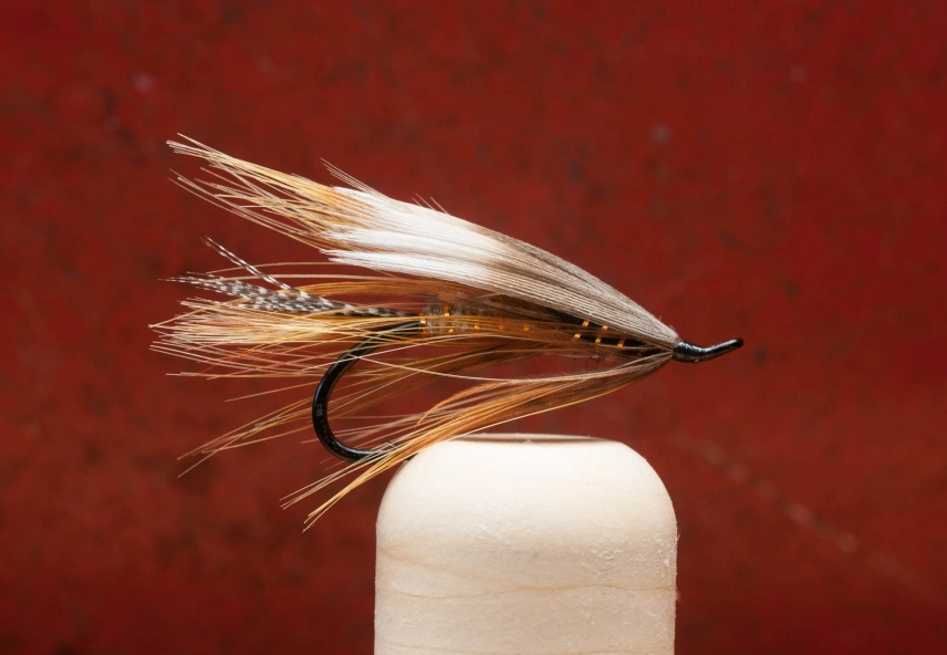 Long hackles Long hackles