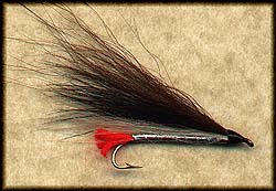 BLACKNOSE DACE: ART FLICK'S BUCKTAIL Image