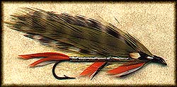 LITT'L BROOKIE Image