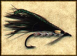 BLACK MARABOU BROOKIE Image