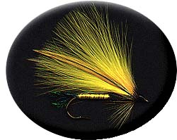 YELLOW MARABOU SPRUCE Image