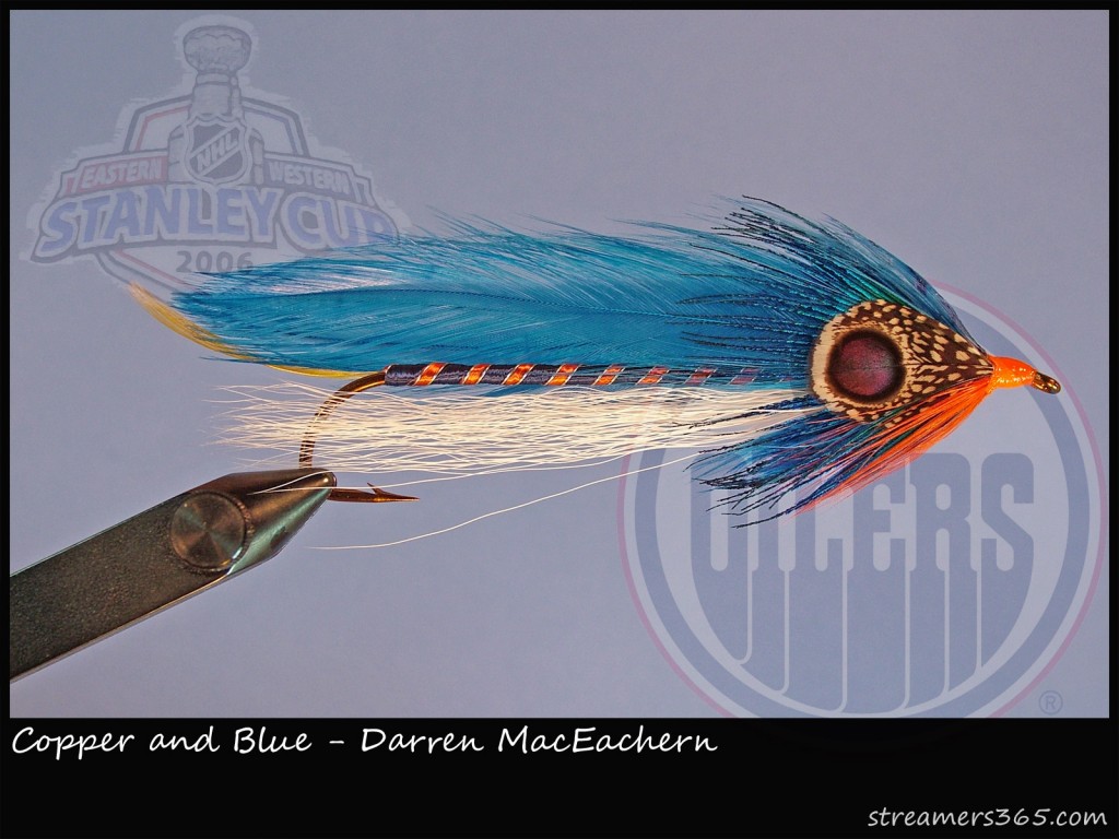 Copper and Blue Streamer Fly