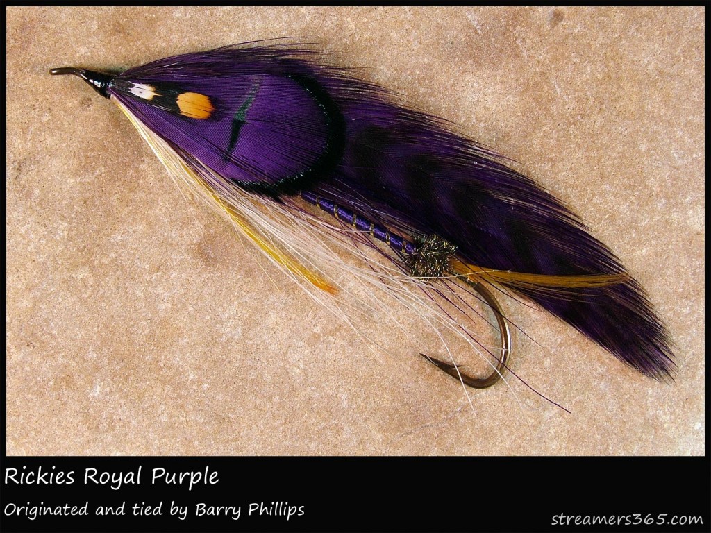 #173 Rickies Royal Purple - Barry Phillips