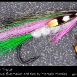 #28-2013 Little Rainbow Trout by Marcelo Morales