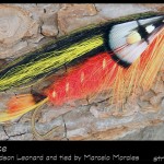 #48-2013 Red Belly Dace by Marcelo Morales