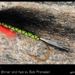 #68-2013 - Scaled Shiner Hairwing by Robert Frandsen