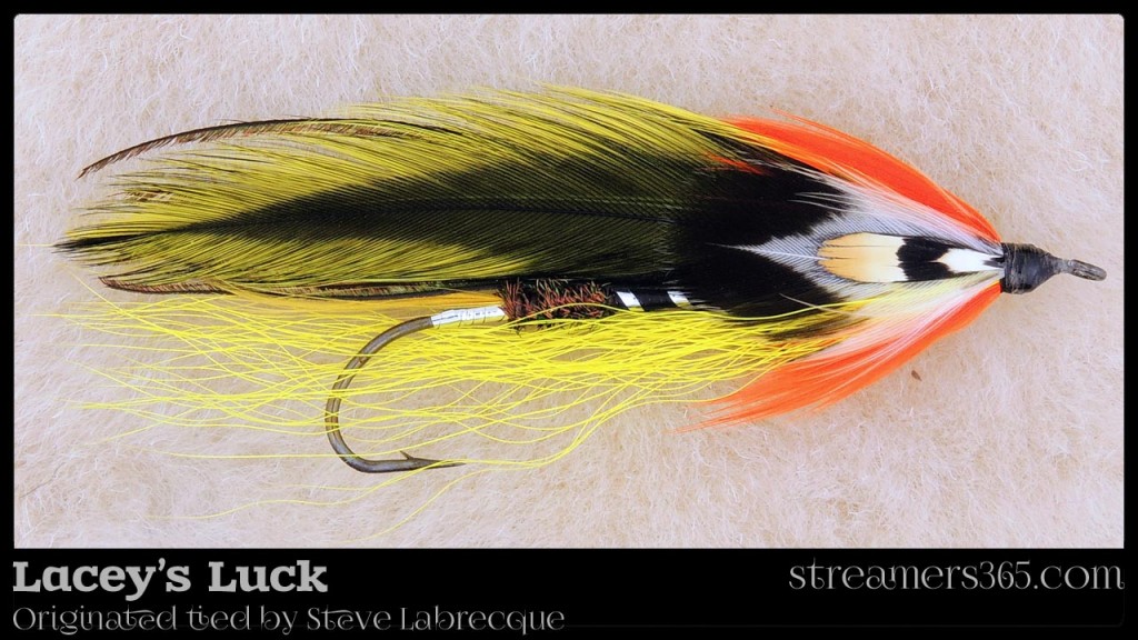 Lacey's Luck - Steve Labrecque